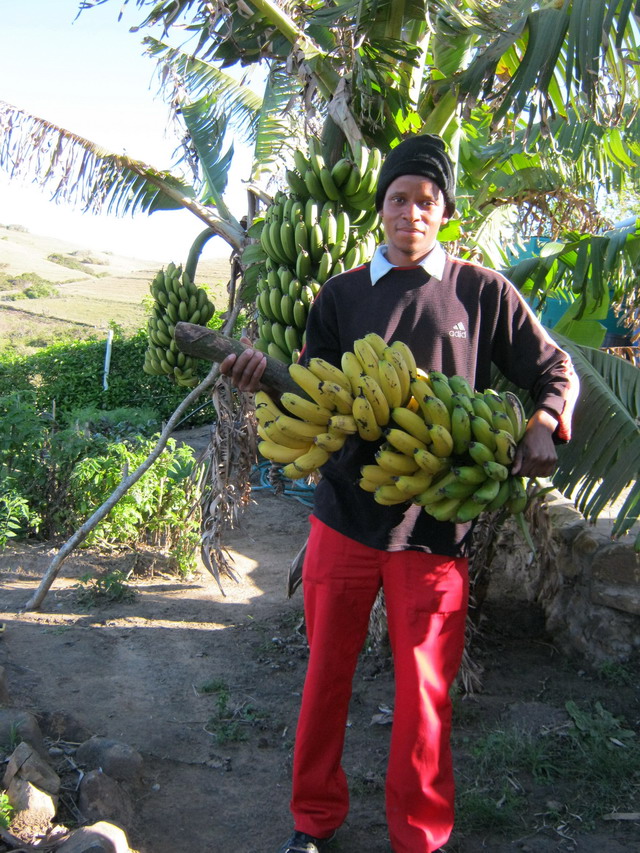 Thembekile & bananas