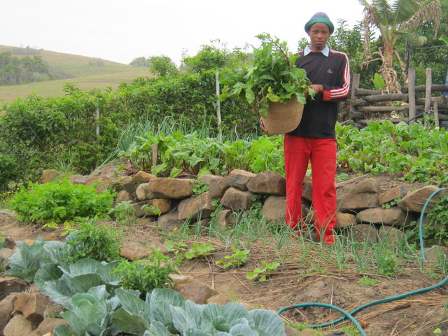 Thembekile in veg garden