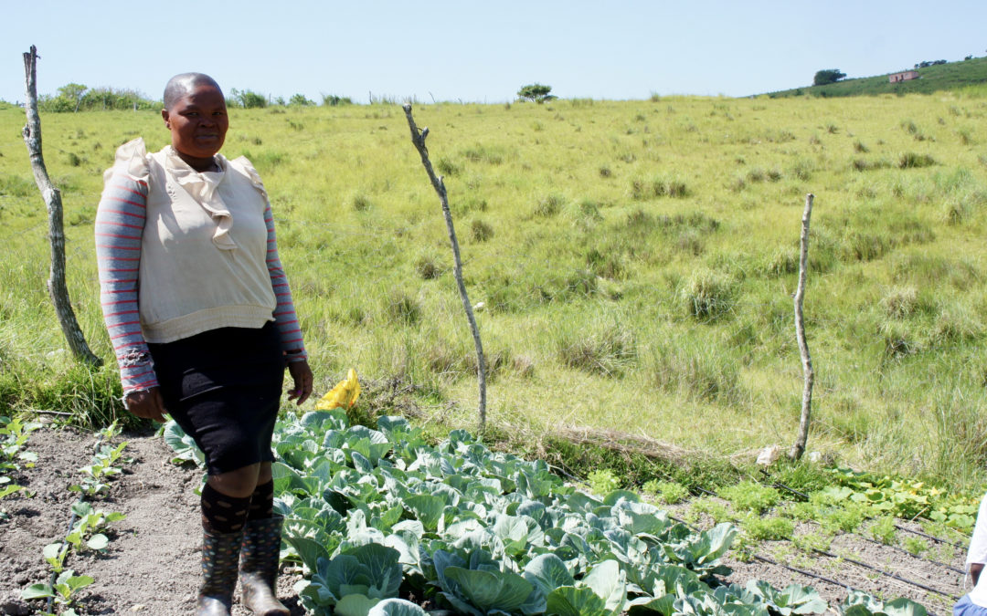 Boosting Agriculture Entrepreneurship to Create Sustainable Livelihoods
